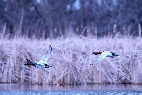 DSC_2843.jpg DSC_2843.jpg