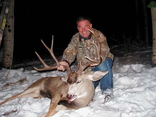 mikes deer small.jpg mikes deer small.jpg