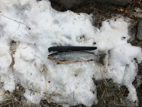 56690427-5EB2-4185-903F-F0193AE17FB6.jpeg 56690427-5EB2-4185-903F-F0193AE17FB6.jpeg