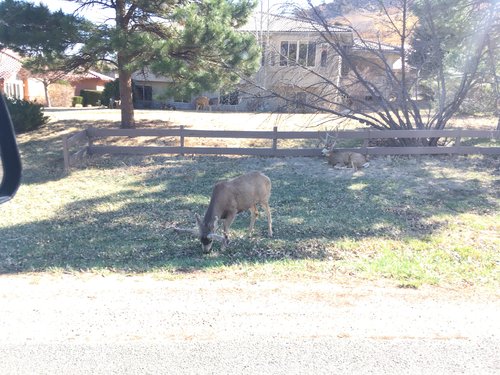 IMG_0479.JPG IMG_0479.JPG