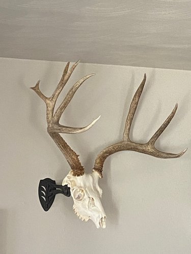 Muley 3.jpg