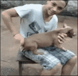 1585271371897.gif