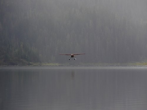 Goat-39.jpg