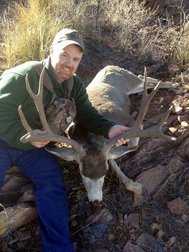 Mule deer 3.jpg