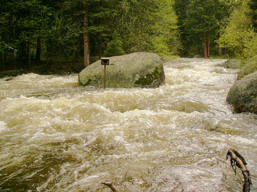 Spring runoff 6-1-09.jpg