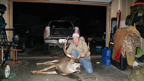 College Buck.JPG