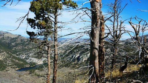 0329201038.jpg