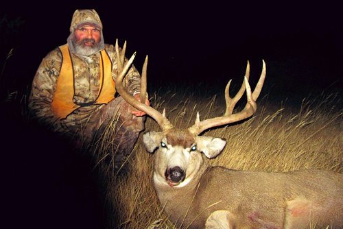 Montana 2017 Muley.jpg Montana 2017 Muley.jpg