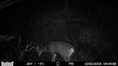 HUNT0287.JPG_thumb.jpg HUNT0287.JPG_thumb.jpg