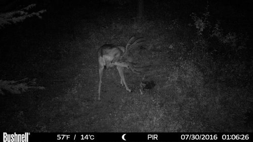HUNT0284.JPG_thumb.jpg HUNT0284.JPG_thumb.jpg