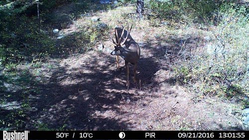 HUNT0203.JPG_thumb.jpg HUNT0203.JPG_thumb.jpg