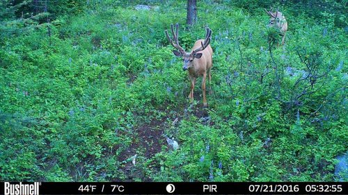 HUNT0170.JPG_thumb.jpg HUNT0170.JPG_thumb.jpg