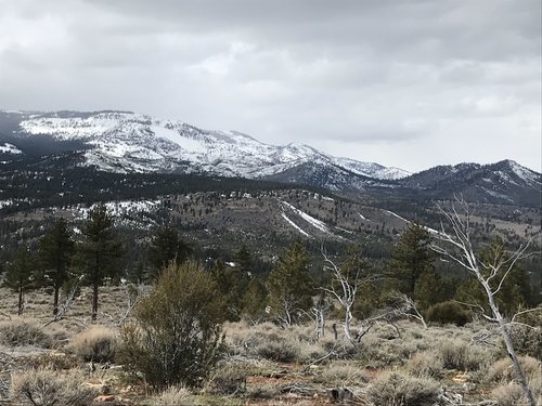 67DB6E8C-E13A-4018-AEC7-5BDA2F77EF7B.jpeg 67DB6E8C-E13A-4018-AEC7-5BDA2F77EF7B.jpeg