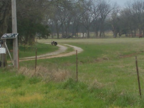 20200327_135001.jpg