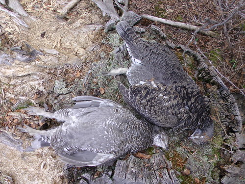 20121102_090226.jpg 20121102_090226.jpg