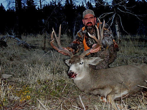 Montana 2010 Muley.JPG Montana 2010 Muley.JPG