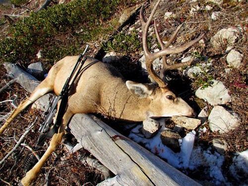 Montana 2015.JPG Montana 2015.JPG