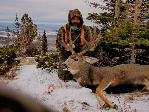 Montana 2013 Muley.JPG Montana 2013 Muley.JPG