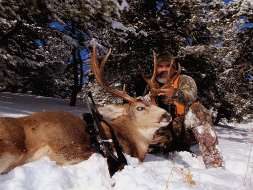 Montana 2016 Muley.jpg Montana 2016 Muley.jpg