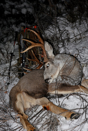 Montana Dec. 1st 2019.jpg Montana Dec. 1st 2019.jpg