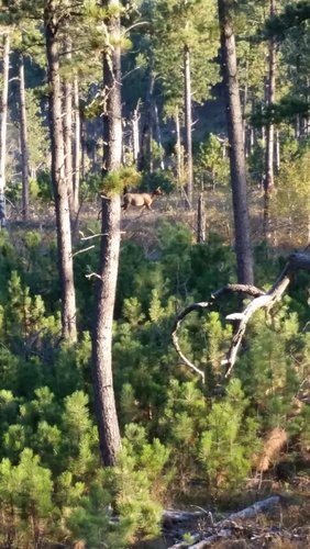 20150926_072720.jpg 20150926_072720.jpg