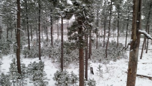 20151129_073617.jpg 20151129_073617.jpg