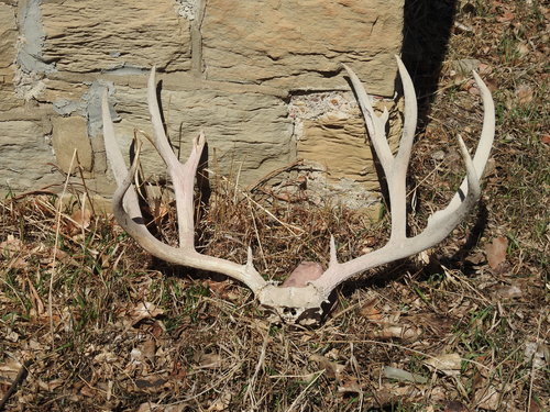 DSCN3285.JPG