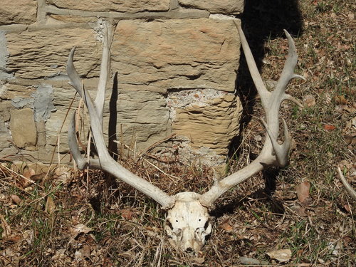 DSCN3287.JPG