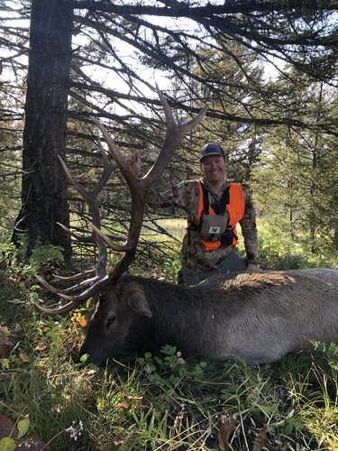 2019 Elk.jpg