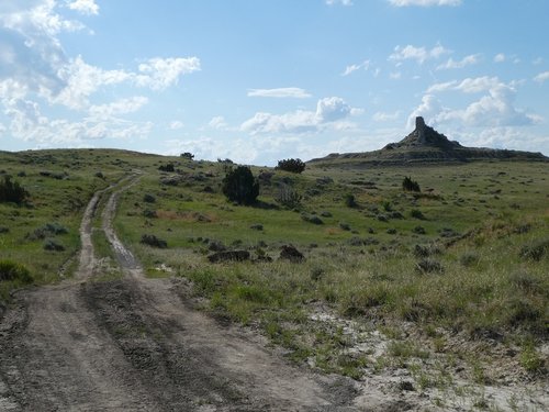P1010526.JPG