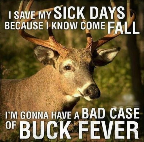 buckfever.jpg