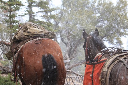 Jarbidge snow 11 2012.jpg