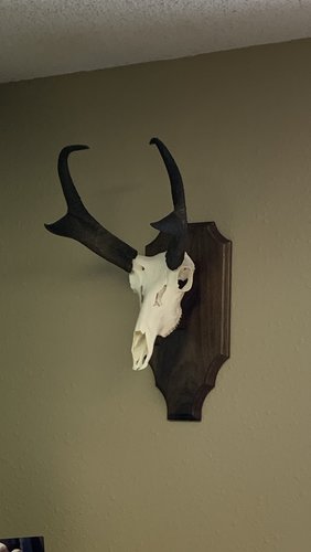 IMG_3744.jpg IMG_3744.jpg