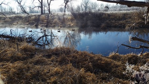 foggy slough .jpg