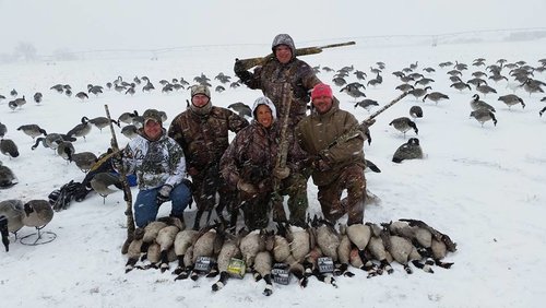 wiggins goose hunt.jpg