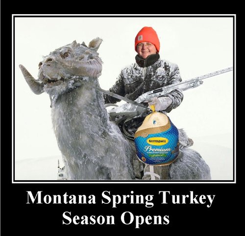FB Spring Turkey.jpg FB Spring Turkey.jpg
