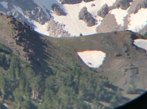 Capture.PNG Capture.PNG