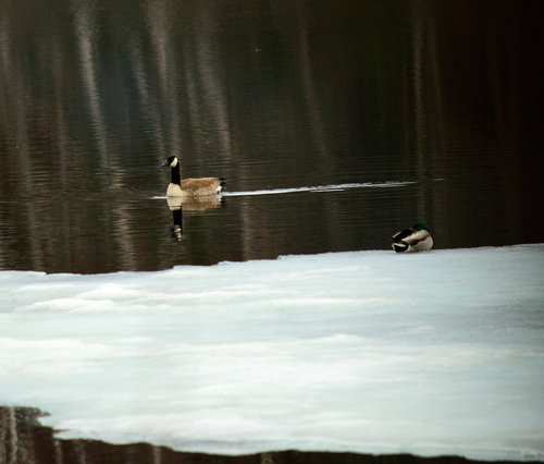DSC_0039_063.JPG