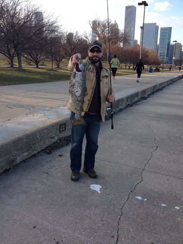 B22C600A-EE73-43C4-9AB6-D3E4203C0D4C.jpeg