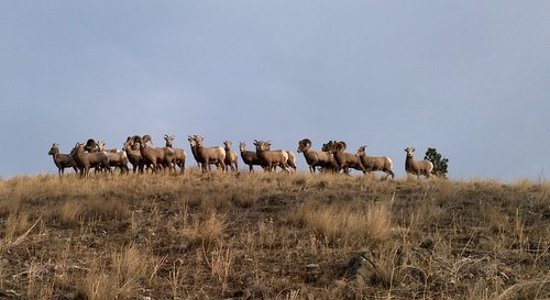 DSC00094 (3).jpg DSC00094 (3).jpg