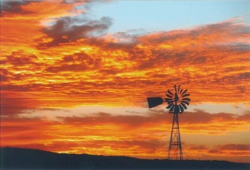 TX Panhandle pronghorn hunt.JPG TX Panhandle pronghorn hunt.JPG
