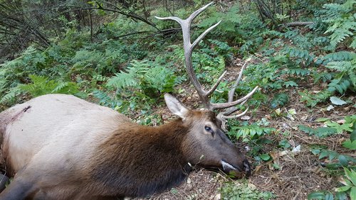 20170917_083301.jpg