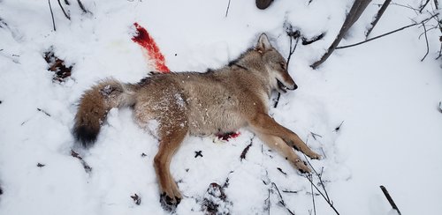 20181202_163019.jpg 20181202_163019.jpg