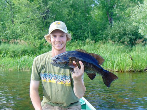 19 in. Smallmouth Bass St. Croix River.JPG 19 in. Smallmouth Bass St. Croix River.JPG