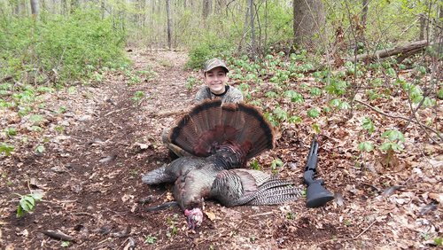 Nicholas Turkey.jpg Nicholas Turkey.jpg