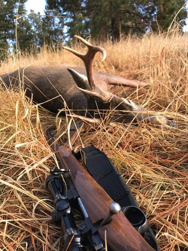 2018 buck.jpg 2018 buck.jpg