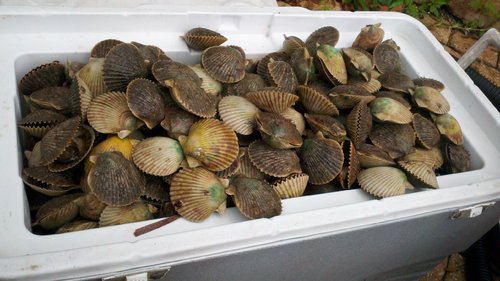 2012-07-12_17-07-07_122.jpg
