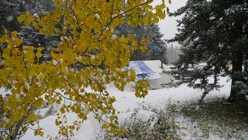 DSC00081.JPG