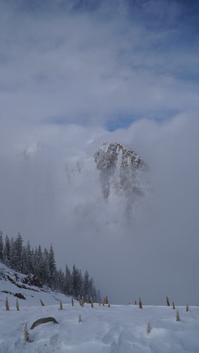 DSC00138.JPG
