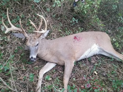 2016-10-29 19.49.42 (1).jpg